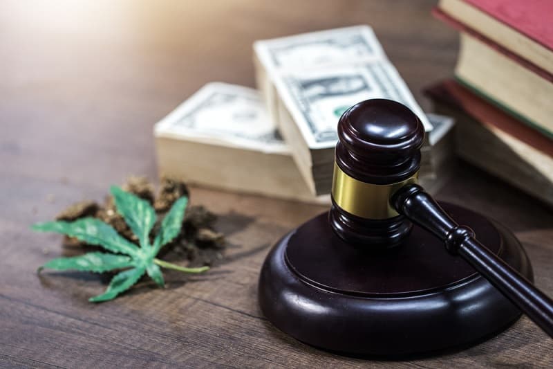 Marijuana Lawyer